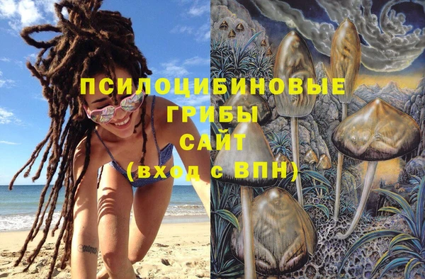 метадон Новозыбков