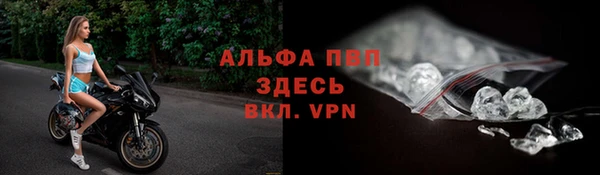 дмт Новодвинск