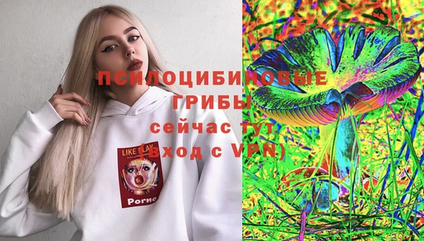 дмт Новодвинск