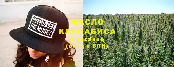 дмт Новодвинск