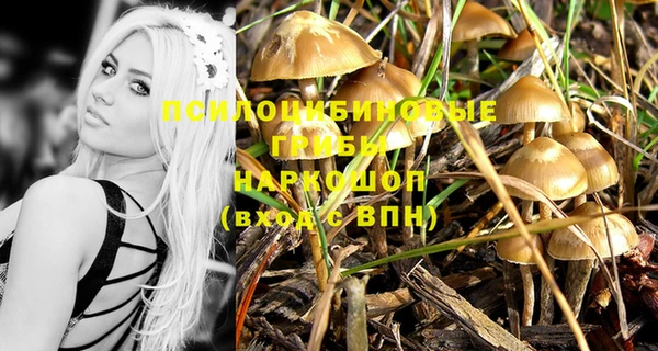 каннабис Новокубанск