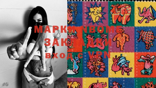 дмт Новодвинск