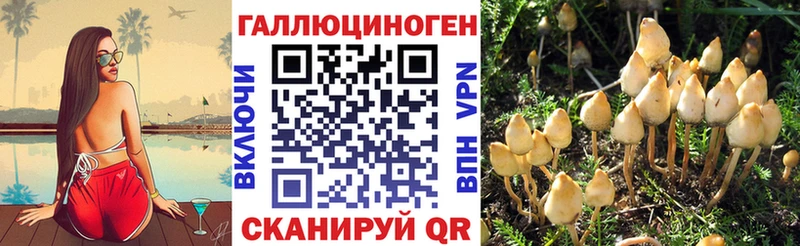 Псилоцибиновые грибы Magic Shrooms  хочу   Полтавская 